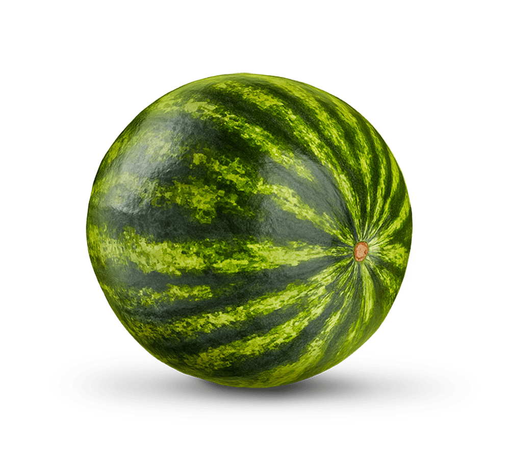 This image has an empty alt attribute; its file name is Freshco_13.png